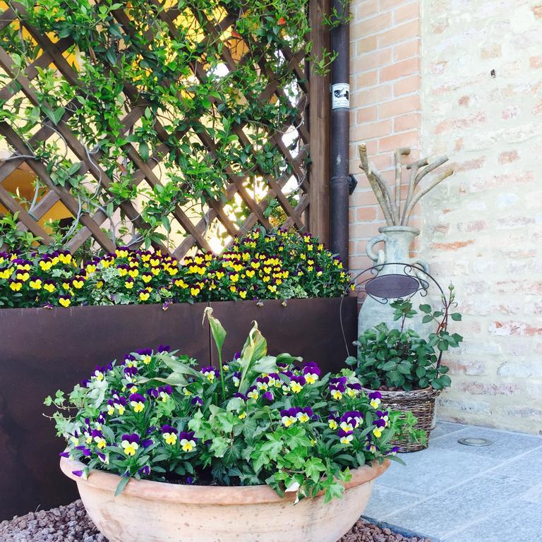 Bed and Breakfast Cascina Cortine Guarene Екстер'єр фото
