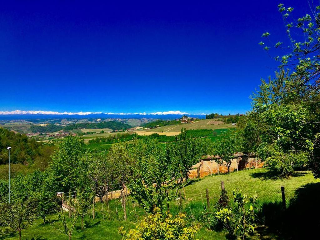 Bed and Breakfast Cascina Cortine Guarene Екстер'єр фото